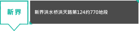 新界洪水桥洪天路第124约770地段